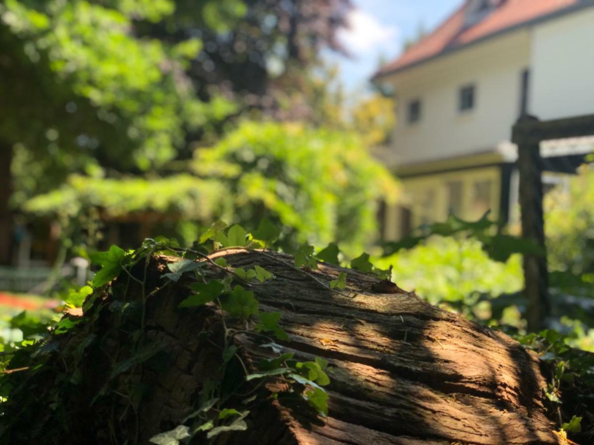 Guesthouse Villa De Eikhof Хенгело Экстерьер фото